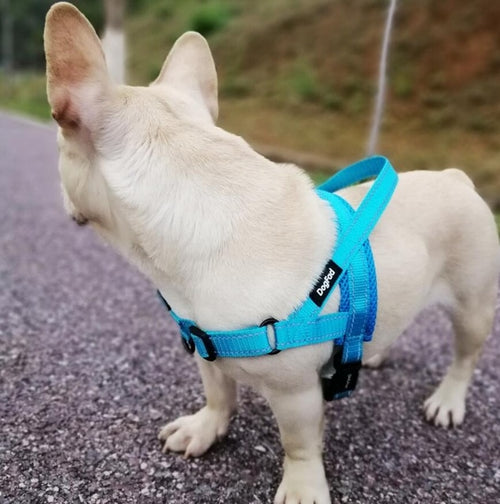 Load image into Gallery viewer, Adjustable Dog Harness
