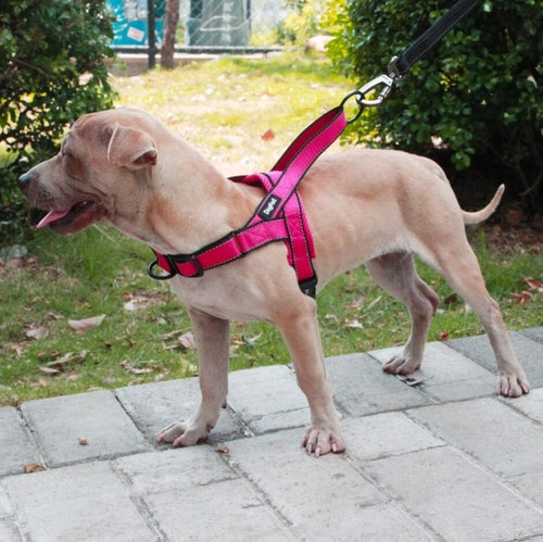 Load image into Gallery viewer, Adjustable Dog Harness
