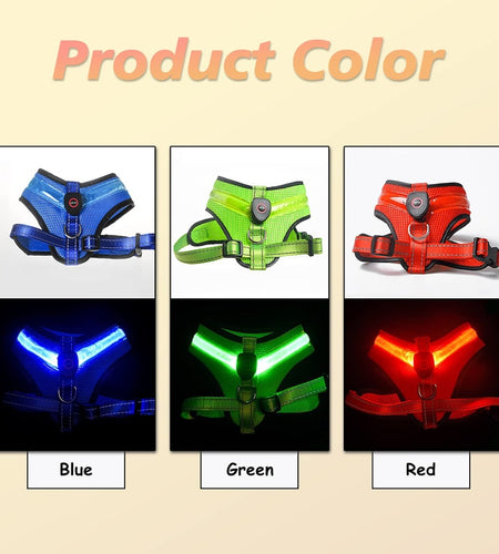 LED Light Dog Harness