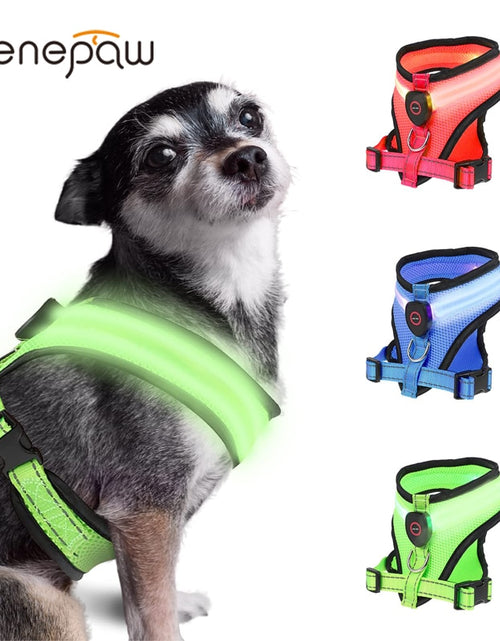 Load image into Gallery viewer, LED Light Dog Harness
