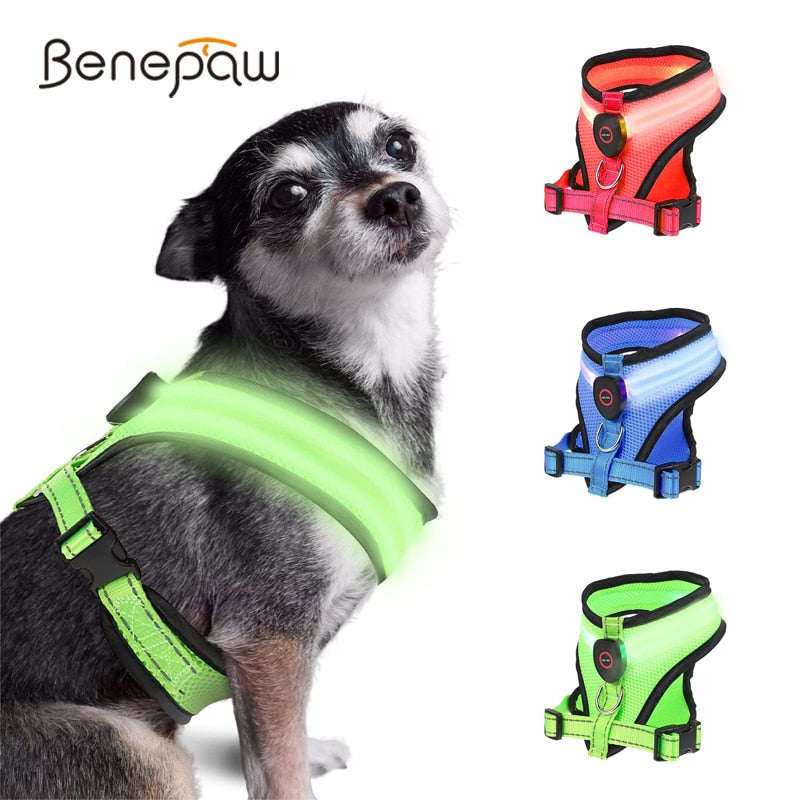 LED Light Dog Harness