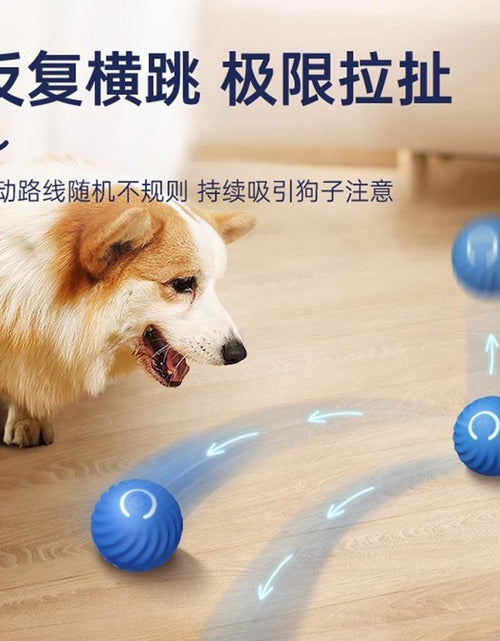 Load image into Gallery viewer, Pet Toys Gravity Jumping Ball Dog Self-pleasure Electric Toy Interactive Pet Ball Amusing Dogs To Relieve Boredom Cat And Dog Toys
