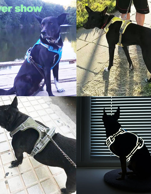 Load image into Gallery viewer, Dog Harness
