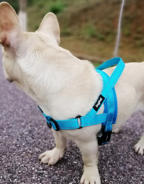 Load image into Gallery viewer, Adjustable Dog Harness
