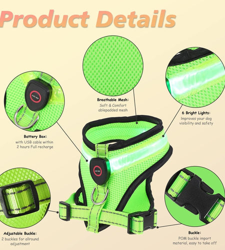 LED Light Dog Harness